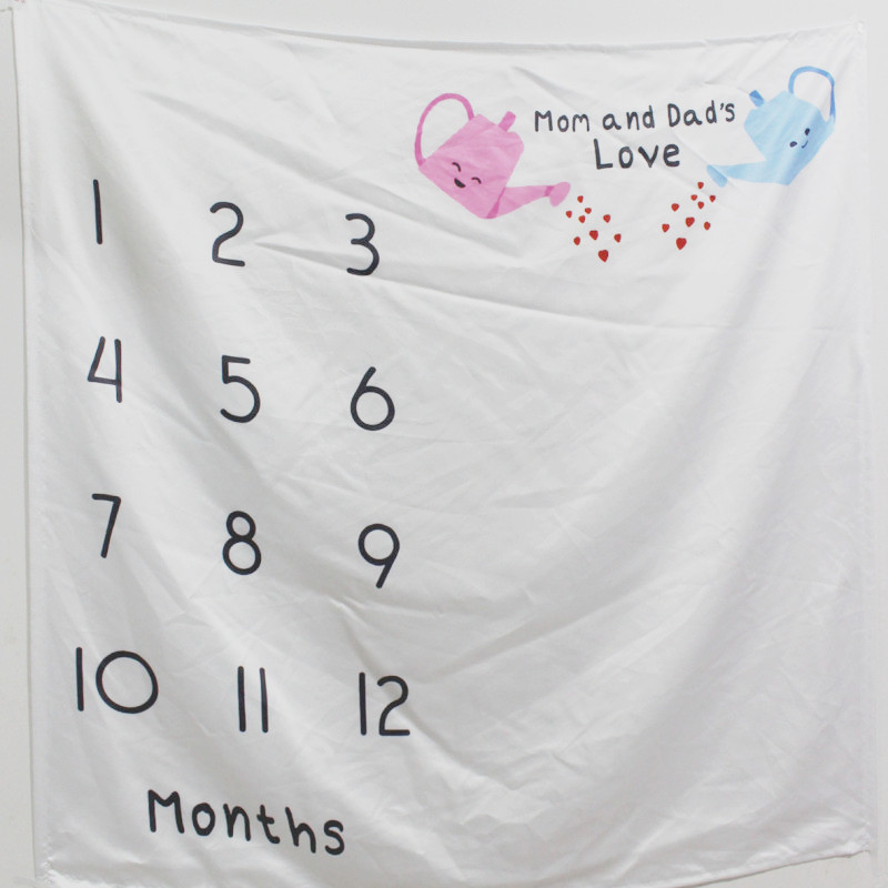 Baby Month Blanket Milestone Backdrop